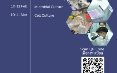 ห้องปฏิบัติการทดสอบความเข้ากันได้ทางชีวภาพของเครื่องมือทางการแพทย์ ISO 17025 จะจัดกิจกรรมอบรมเชิงปฎิบัติการในหัวข้อดังต่อไปนี้สำหรับปี 2569 รอบที่ 1